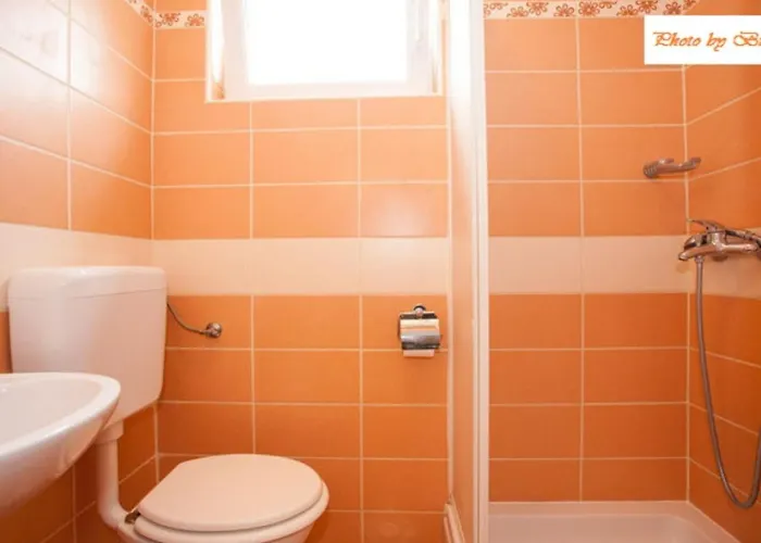 Apartment Bionda Novi Vinodolski